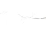 Natursteinfliese Salzach Weiß 60x120
